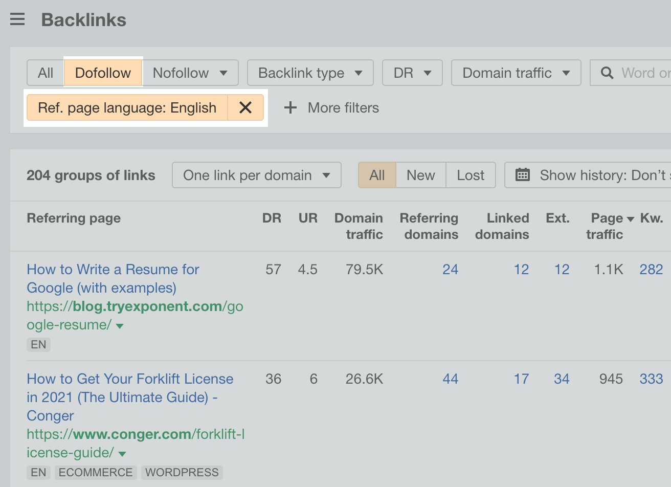 How to Execute the Skyscraper Technique (And Get Results) | Backlinks report, with filters, via Ahrefs' Site Explorer