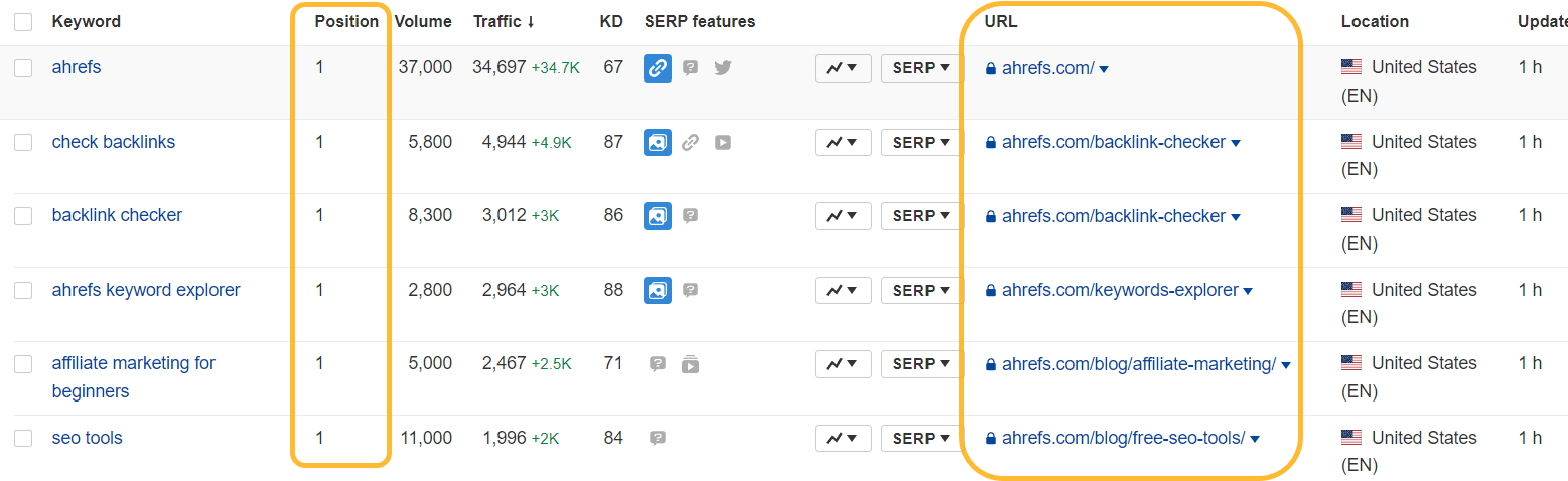 Continuous SEO: Can You "Complete" SEO? | Ahrefs' Rank Tracker displaying ranking data, such as position and URL, for tracked keywords