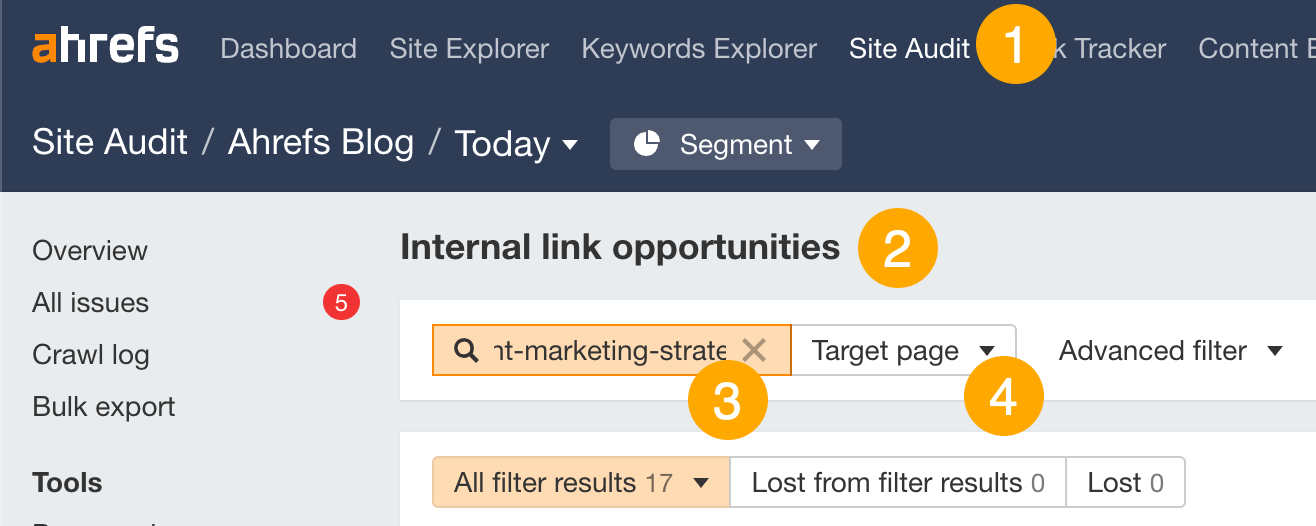 21 Proven Ways to Drive Traffic to Your Website | Finding internal link opportunities using Ahrefs' Site Audit