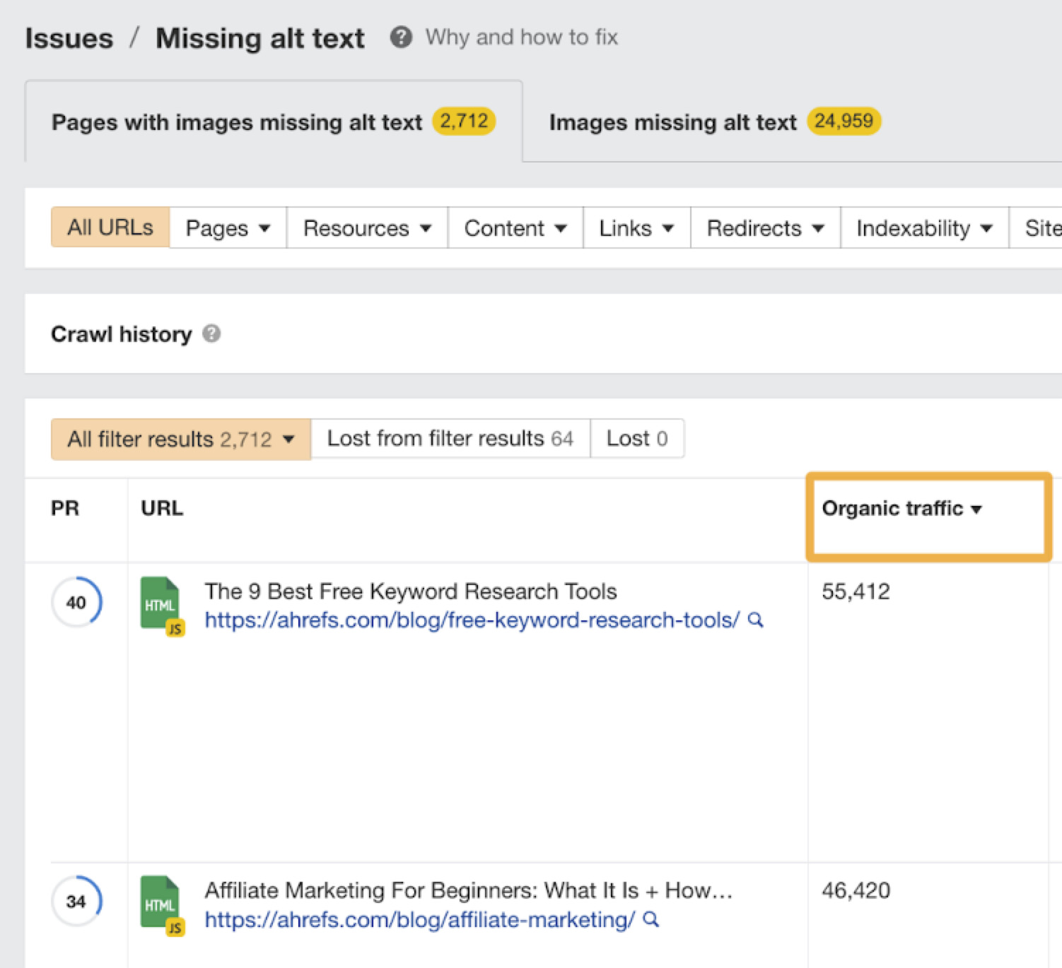 Master E-commerce SEO in 2023: Beginner's Guide | URLs affected by "missing alt text" issue, via Ahrefs Webmaster Tools