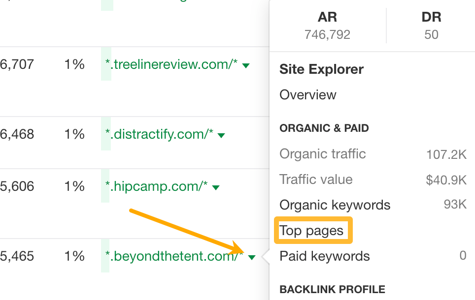 The Official Ahrefs Tutorial: How to Use Ahrefs to Improve SEO | Click on Top pages for any site in the Traffic share by domain to see their pages with the most search traffic