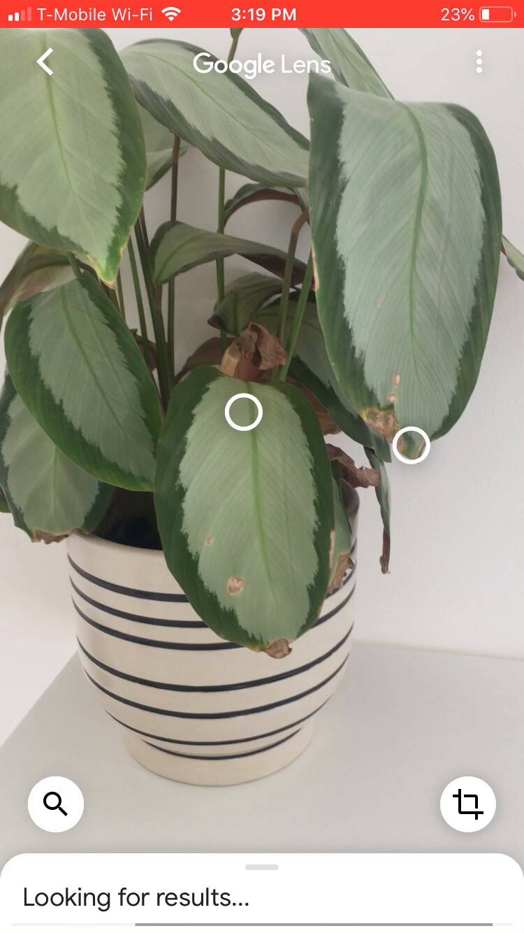 SEO Trends in 2024 and How to Adapt | SEO Trends in 2024 and How to Adapt |