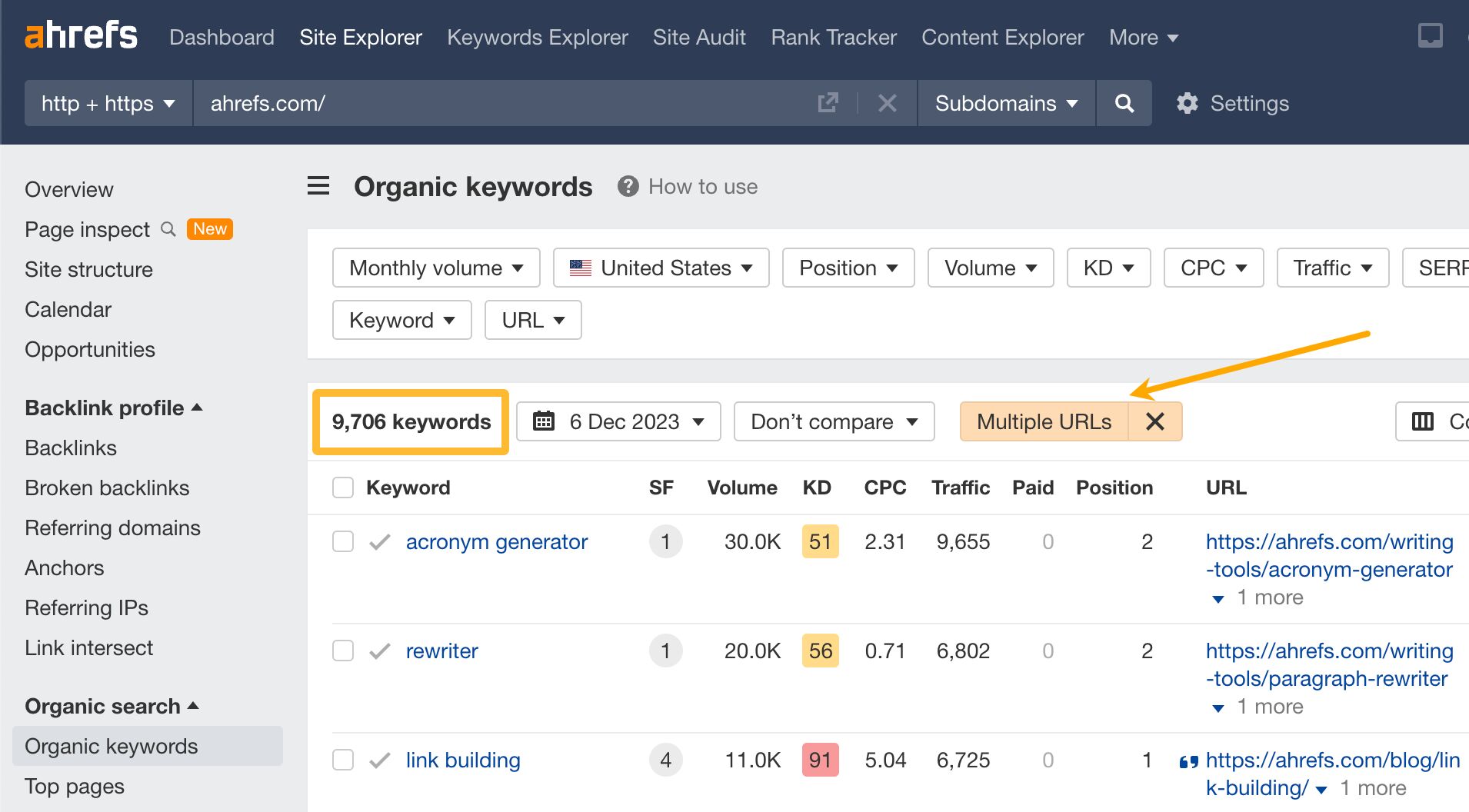 how-to-find-multiple-rankings-in-ahrefs- Keyword Diversification: Cannibalization's Good Twin (SEO Study)