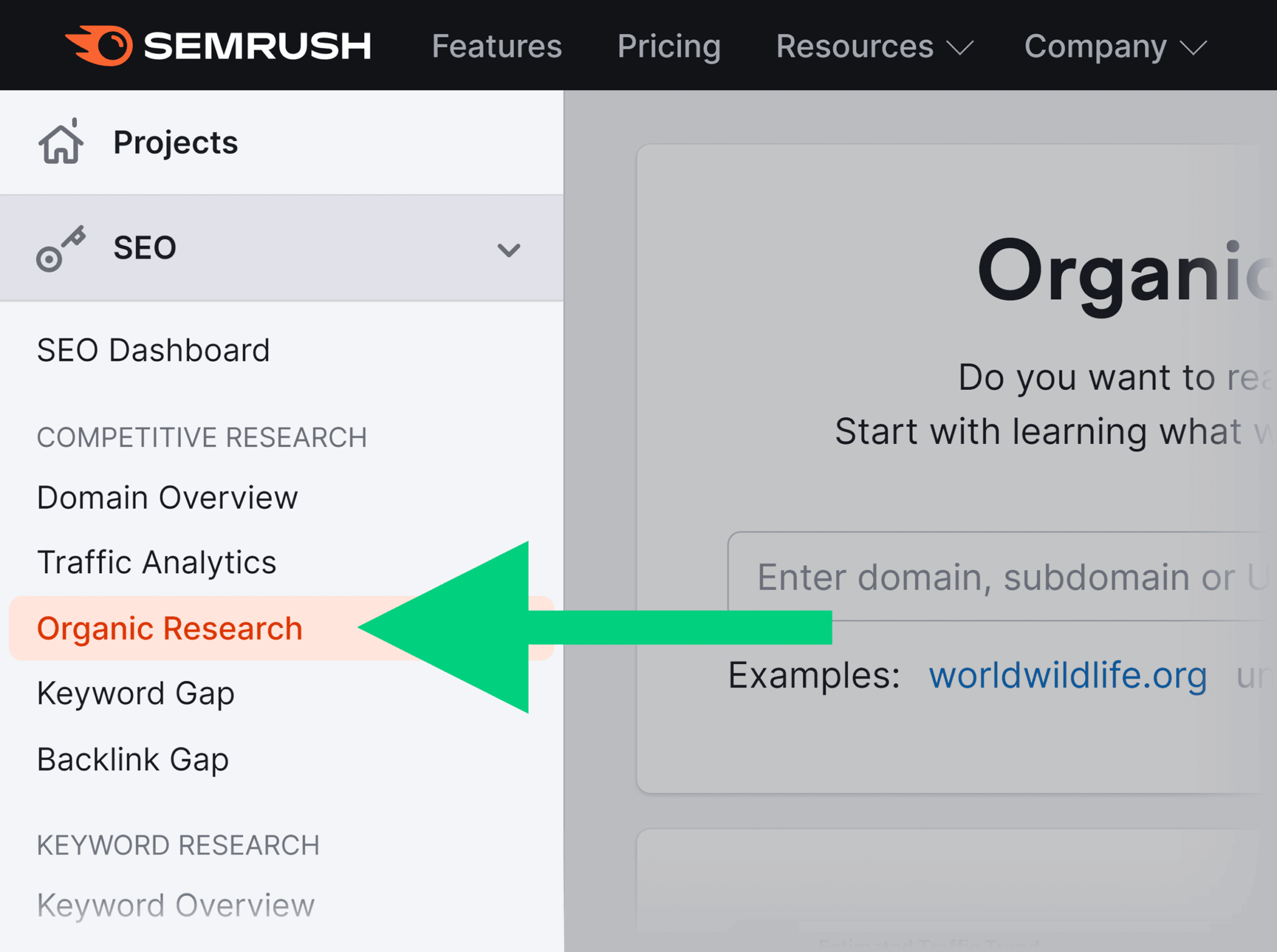 semrush-organic-research-1 Competitor Analysis: Core Principles and How to Conduct One