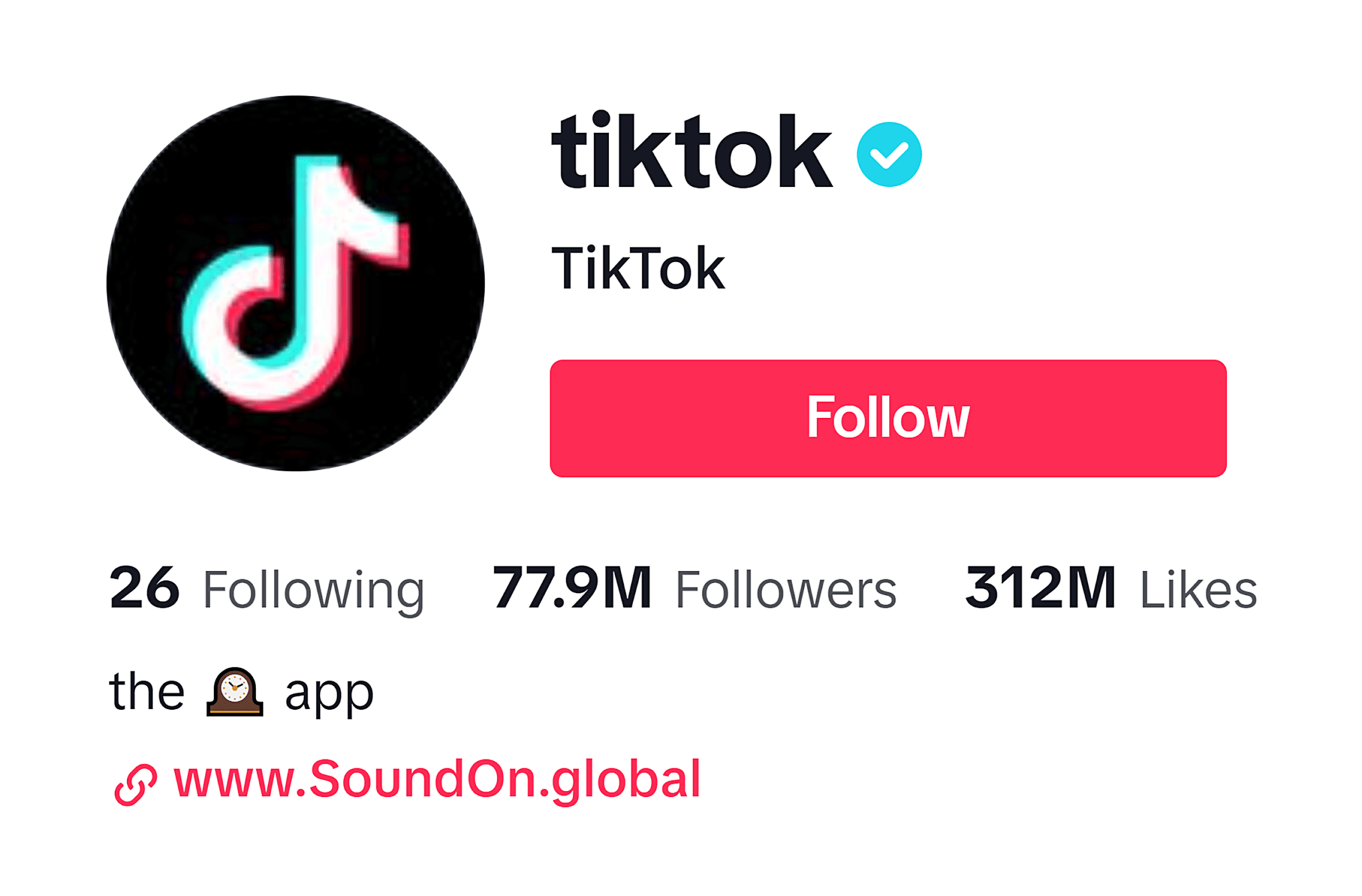 tiktok-company-profile-picture TikTok SEO: The Ultimate Guide