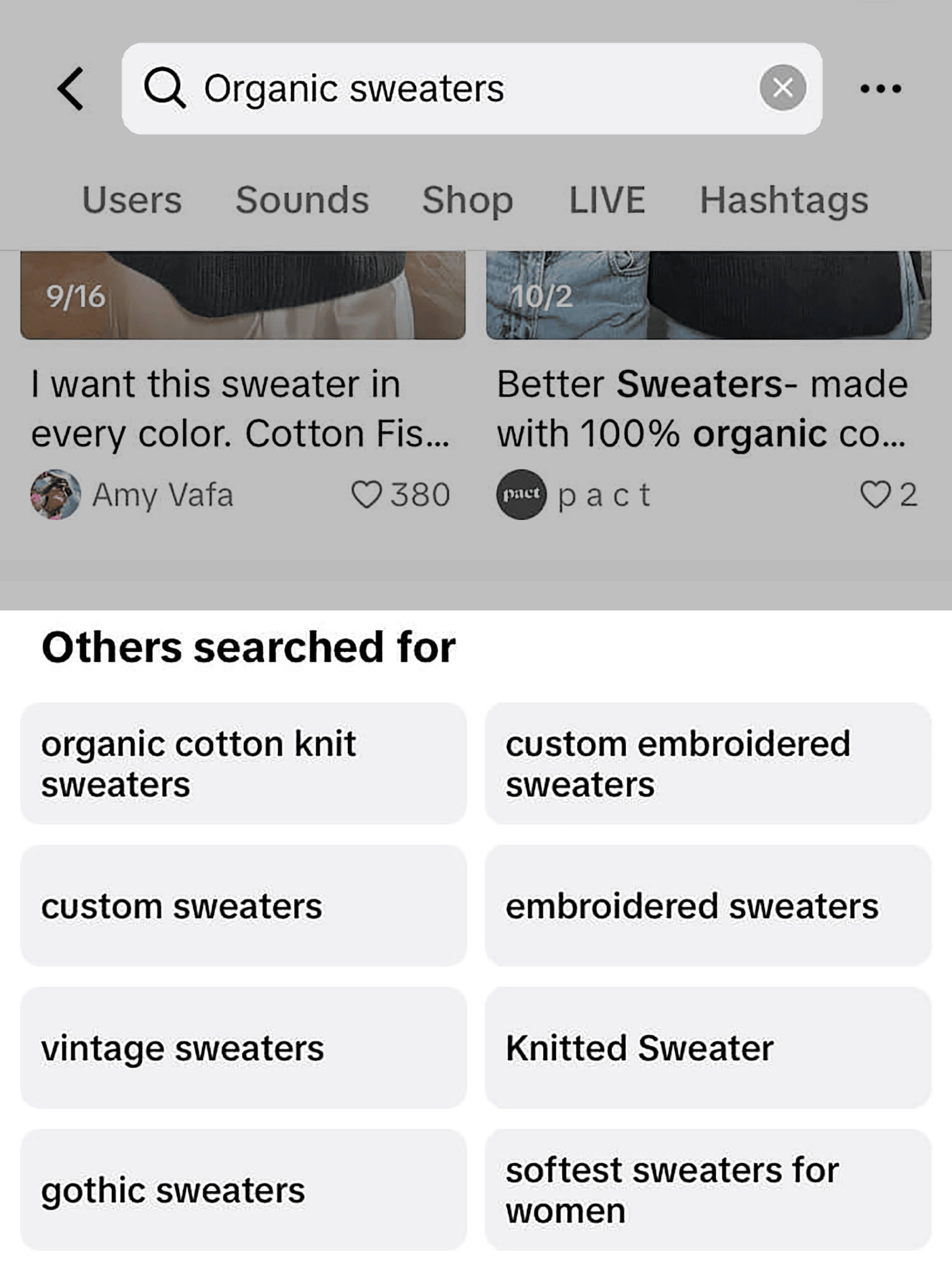 tiktok-search-others-searched-for TikTok SEO: The Ultimate Guide