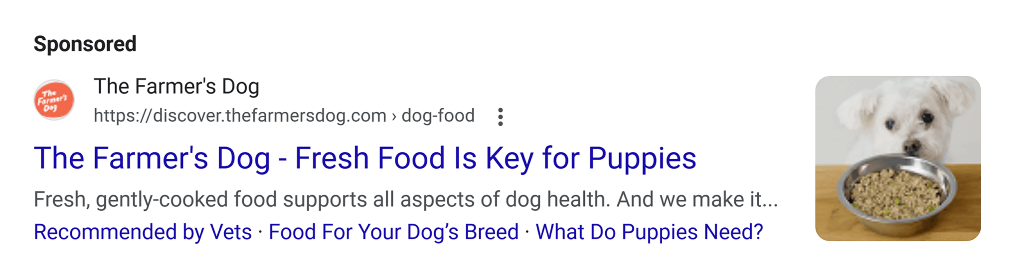 google-ads Small Business Marketing: 6 Proven Strategies for More Reach
