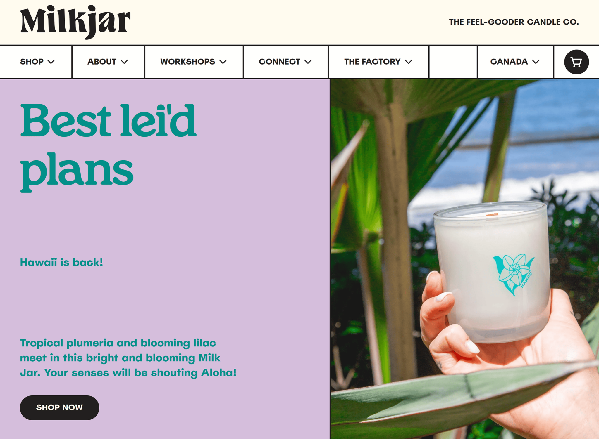 milkjar Small Business Marketing: 6 Proven Strategies for More Reach