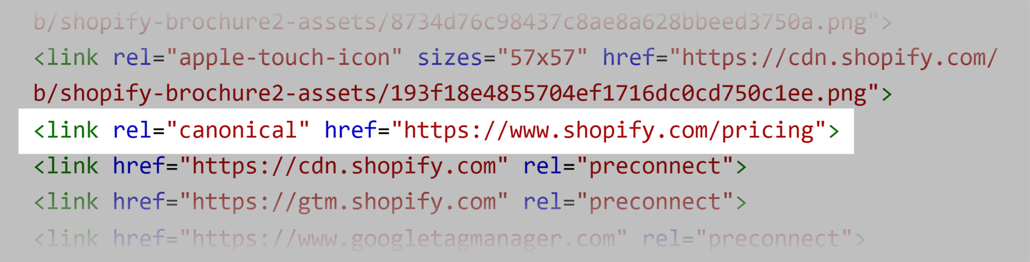 shopify-english-version What Are Canonical URLs: An In-Depth Guide for SEOs