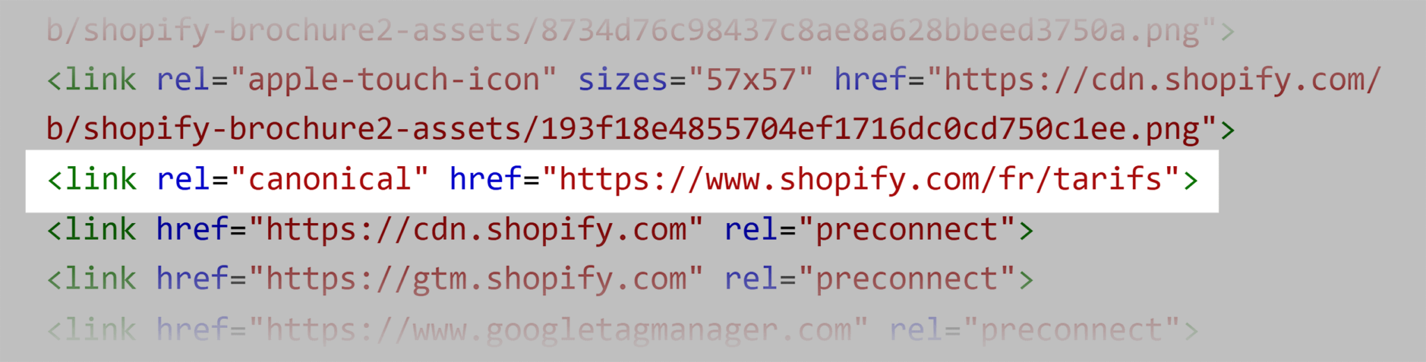 shopify-french-version What Are Canonical URLs: An In-Depth Guide for SEOs