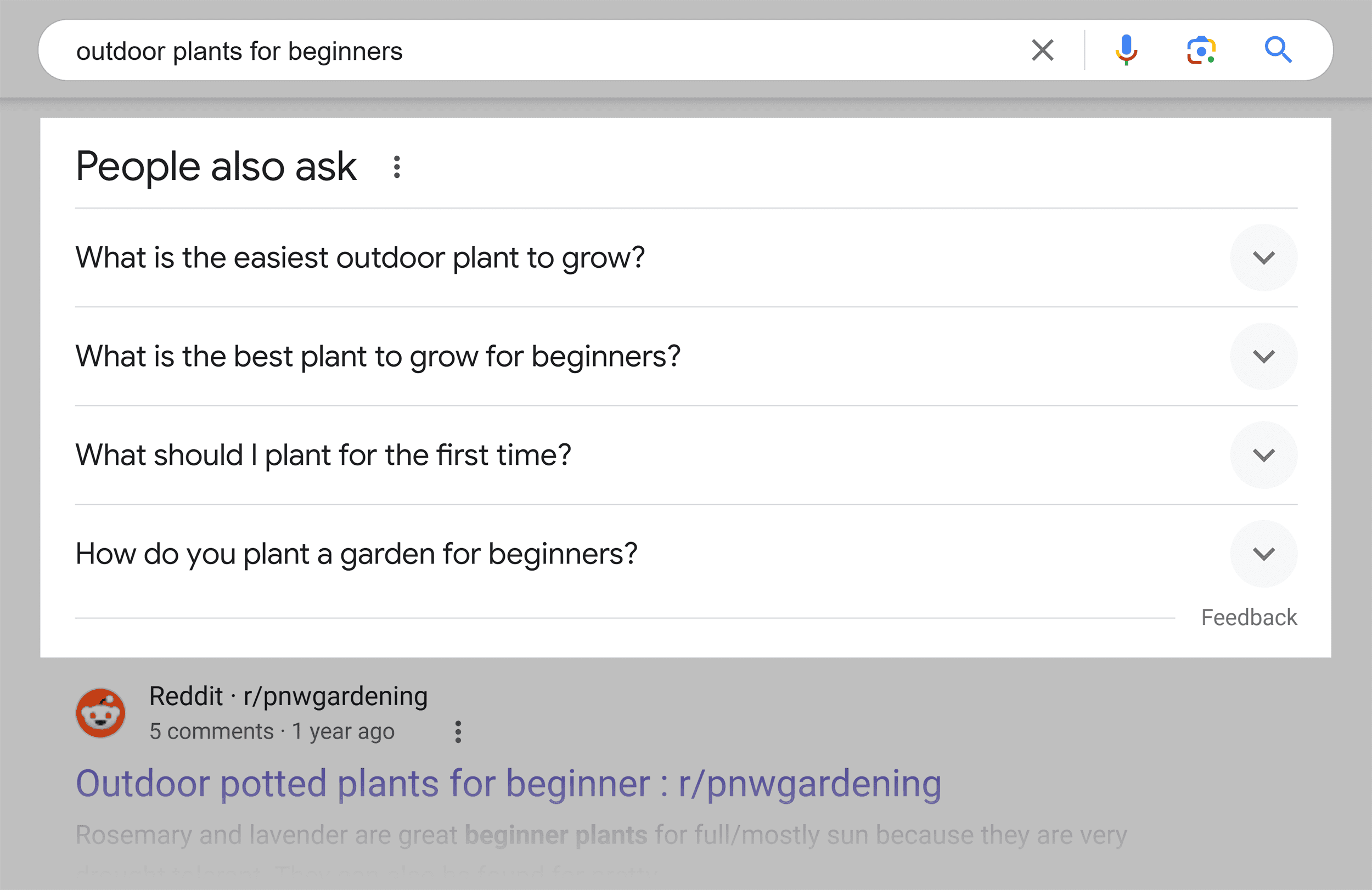 Outdoor plants for beginners – People also ask Outdoor plants for beginners – People also ask