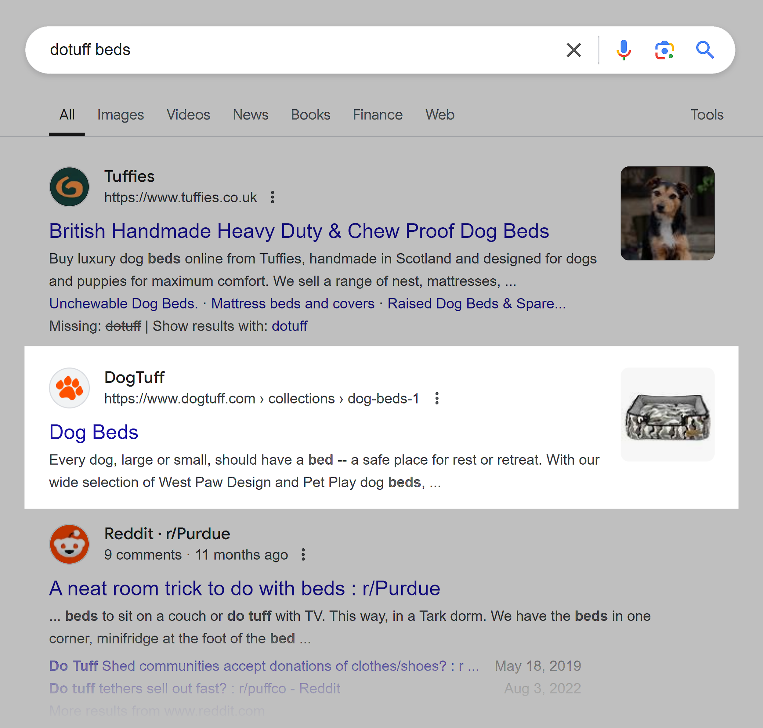 Google SERP – Dogtuff beds Google SERP – Dogtuff beds