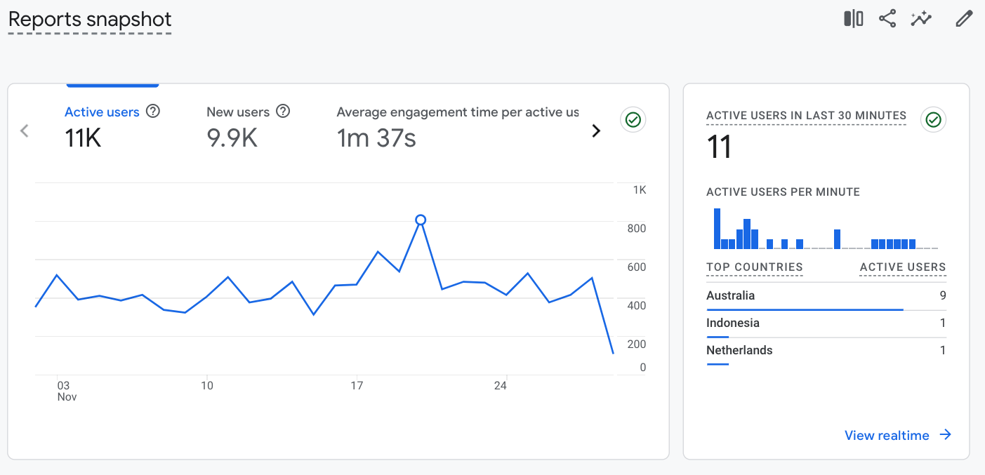 7 Free and Beginner-Friendly Small Business SEO Tools | Example of website usage data in Google Analytics.