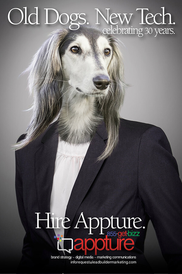02 Old Dogs, New Tech. Celebrating 30 years. Hire Appture.
