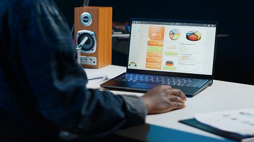 Teleworker using accounting statistics graphs for project research