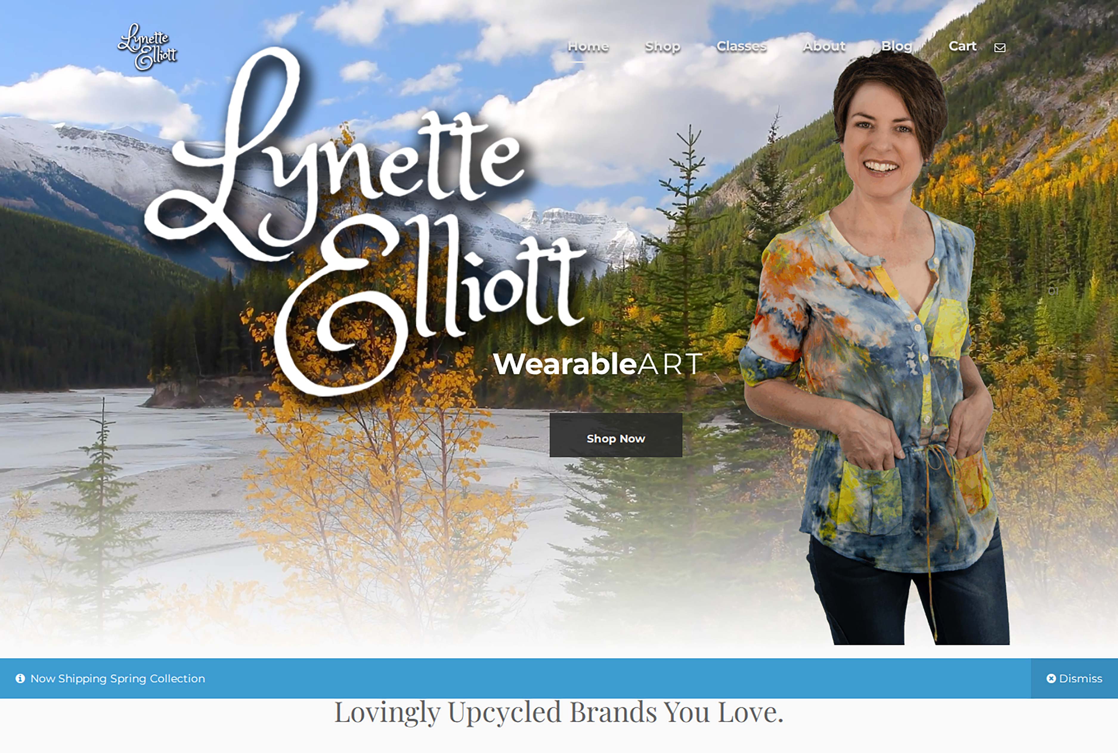Lynette Elliott website homepage