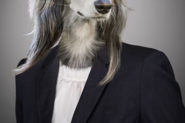 Full Service Digital Agency, Search Marketing, Video Production, Social Media Experts. Designs That Impress. Results That Amaze. Paying too much for too little, stops here. Best Web Marketing Services. Digital Media, Search Marketing, Video Production, Social Media Experts. Designs That Impress. Results That Amaze. tel: 855-GET-BIZZ