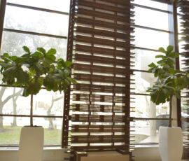 Noregon ~ Westin ~ Locations | _DSC2988